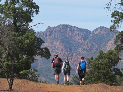 Wilcolo Loop with Wilpena Ramparts